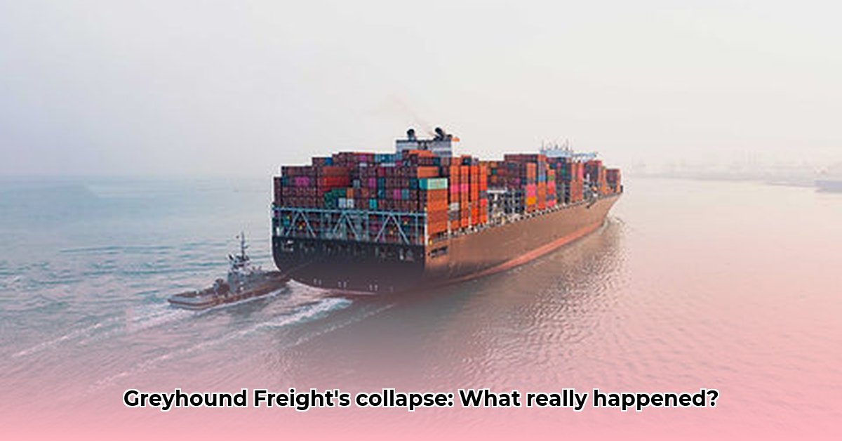 greyhound-freight-shipping